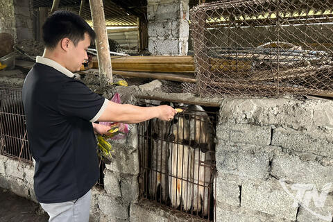 Hướng đi mới trong phát triển chăn nuôi ở Thượng Minh