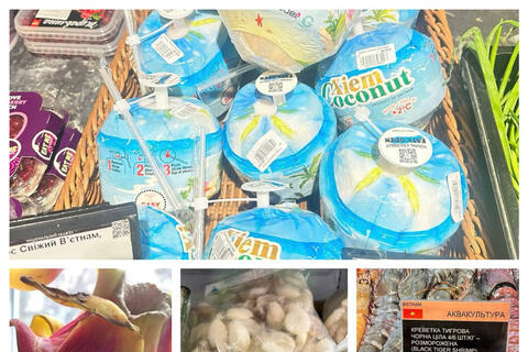 Việt Nam - Ukraine: Đón 'làn sóng' tái thiết, mở rộng không gian hợp tác kinh tế