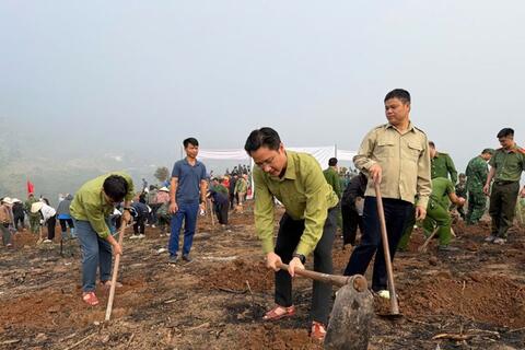 Điện Biên: Phát động phong trào trồng cây năm 2026
