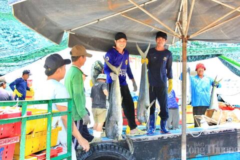 Chuẩn hóa sản xuất, Gia Lai hướng mục tiêu xuất khẩu 3,05 tỷ USD