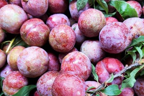 Giá nông sản hôm nay 13/4: Hàng loạt các mặt hàng tăng giá