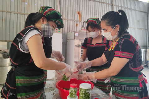 Đà Nẵng: Quảng bá, tiêu thụ sản phẩm miền núi qua du lịch cộng đồng