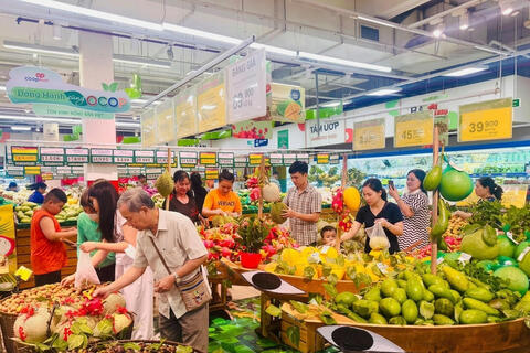Đồng Tháp đặt mục tiêu 100% vùng chuyên canh rau, quả có mã số vùng trồng