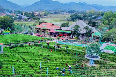 Cơ hội mở rộng thị trường từ hoạt động khuyến công