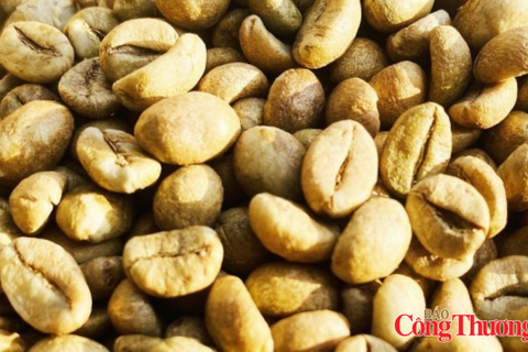 Nguồn cung cải thiện, giá cà phê thế giới giảm phiên thứ ba liên tiếp