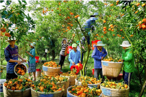 Thúc đẩy sự phát triển vựa nông sản Đồng bằng sông Cửu Long