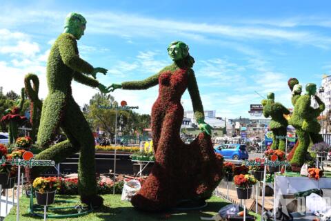 Lâm Đồng khởi động Festival Hoa Đà Lạt lần thứ XI