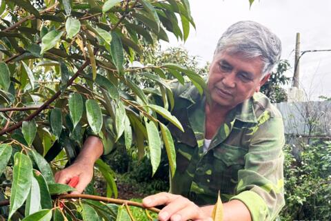 Cựu chiến binh là nhà nông tỷ phú