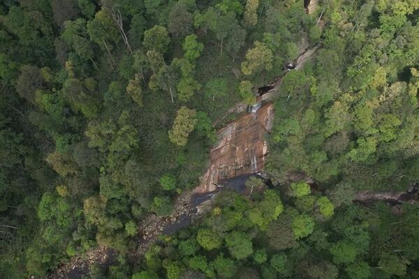 Lào Cai nâng cấp khu bảo tồn thiên nhiên thành Vườn quốc gia Bát Xát