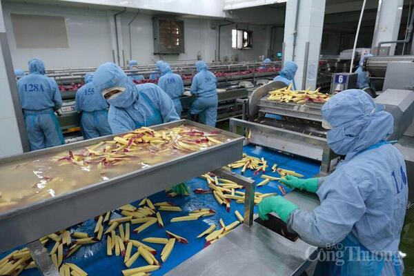 Lâm Đồng: Dư địa lớn nhưng thiếu ‘cú hích’ đầu tư chế biến sâu