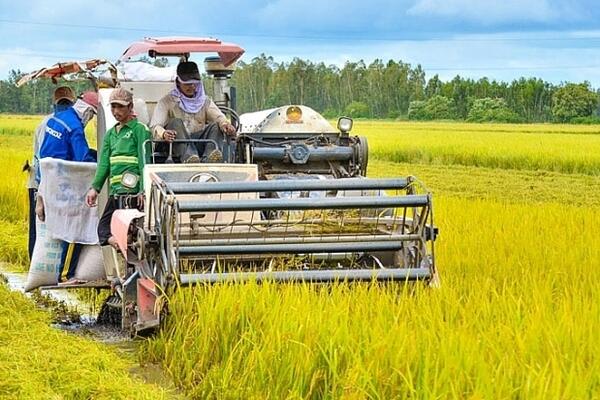 Sản xuất nông nghiệp phục hồi, nuôi trồng thủy sản tiếp tục khởi sắc