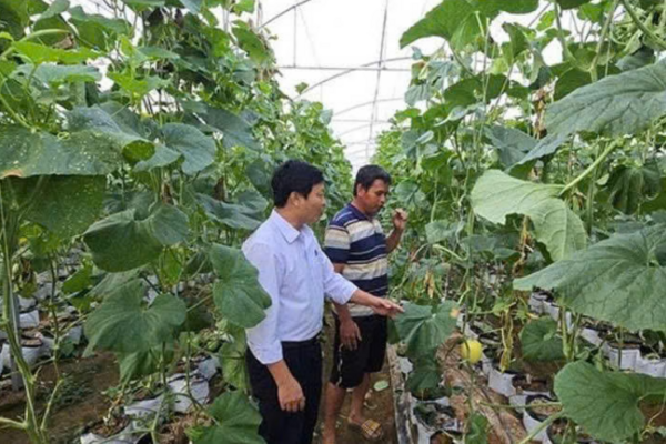 Ia Phí phát huy lợi thế nông nghiệp, xây dựng chính quyền gần dân
