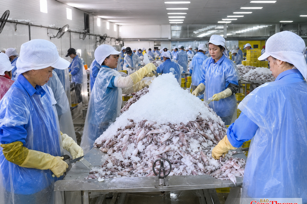 Hà Tĩnh tạo lực đẩy cho sản phẩm công nghiệp nông thôn