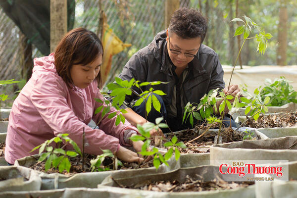 Đặc sản vùng dân tộc Gia Lai, Quảng Ngãi đến với người tiêu dùng Thủ đô