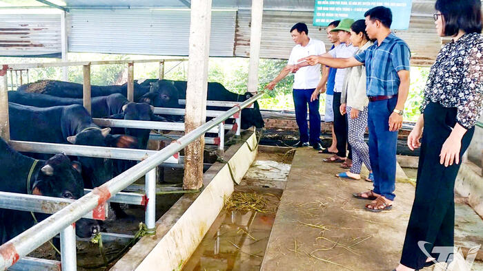 Khơi dậy nội lực nông dân trong sản xuất, kinh doanh