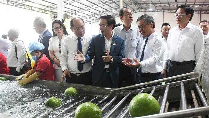 Công bố xuất khẩu trái bưởi Vĩnh Long sang thị trường Úc