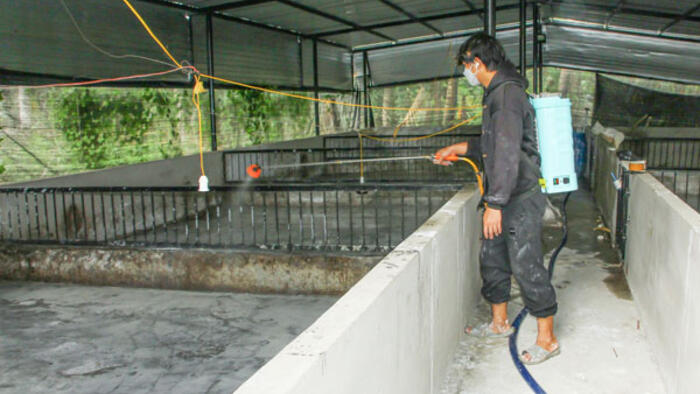 Tăng cường phòng, chống dịch bệnh, hướng tới chăn nuôi an toàn