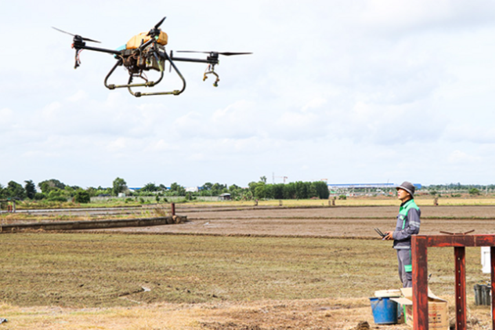 Khởi nghiệp trên đồng ruộng với drone