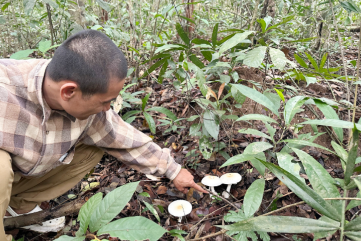Săn sản vật núi rừng