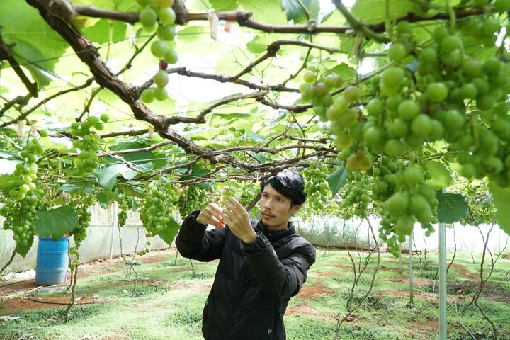 Phía tây Lâm Đồng - mắt xích chiến lược trong không gian mới