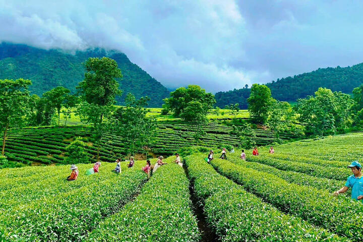 Ưu tiên nguồn lực, quyết tâm đạt mục tiêu tăng trưởng