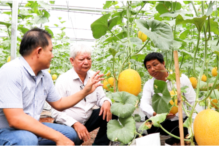 Xã Xuân Sơn (TPHCM) phấn đấu đạt chuẩn nông thôn mới kiểu mẫu