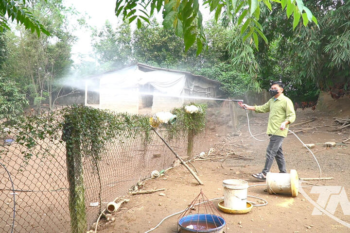 Chủ động phòng, chống dịch cúm gia cầm