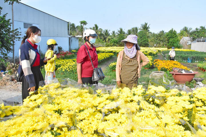 Hoa kiểng Long Đức nhộn nhịp giao thương