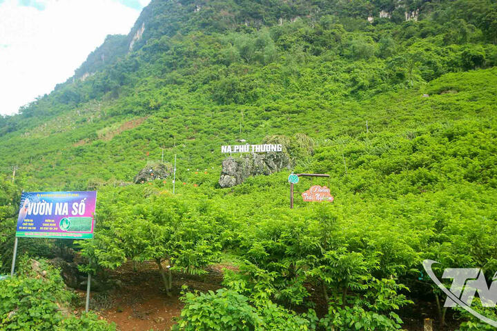 Mở rộng sản xuất nông nghiệp hữu cơ, tuần hoàn