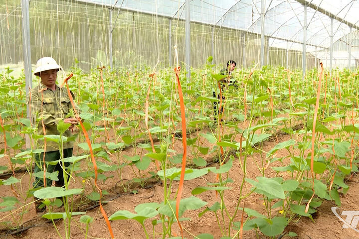 Vươn mình nhờ chuyển đổi số