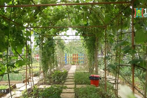 "Vườn đô thị" – Không gian xanh tạo kết nối cho nhiều thế hệ