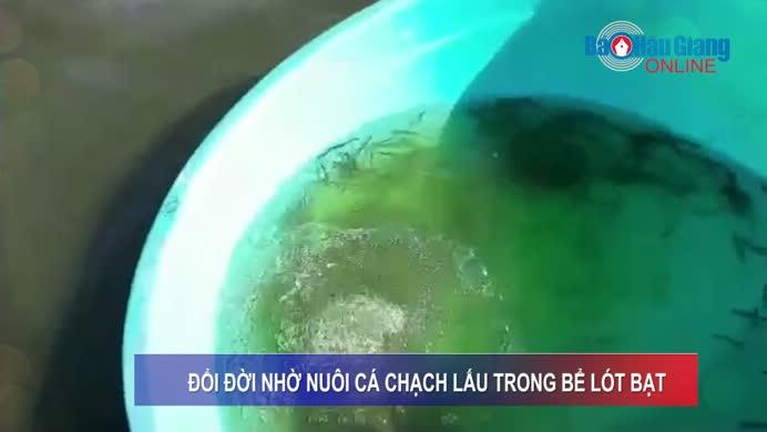 /uploads/Video/News/2021/09/06/100341ĐỔI ĐỜI NHỜ NUÔI CÁ CHẠCH LẤU TRONG BỂ LÓT BẠT.mp4