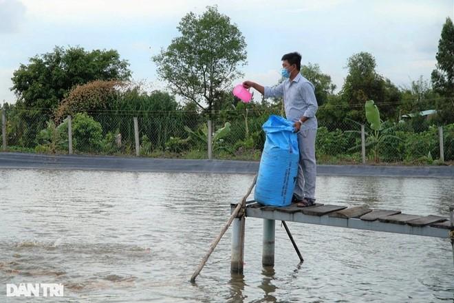 Một trang trại ươm cá rộng 1ha của anh Luận (Ảnh: Bảo Kỳ).