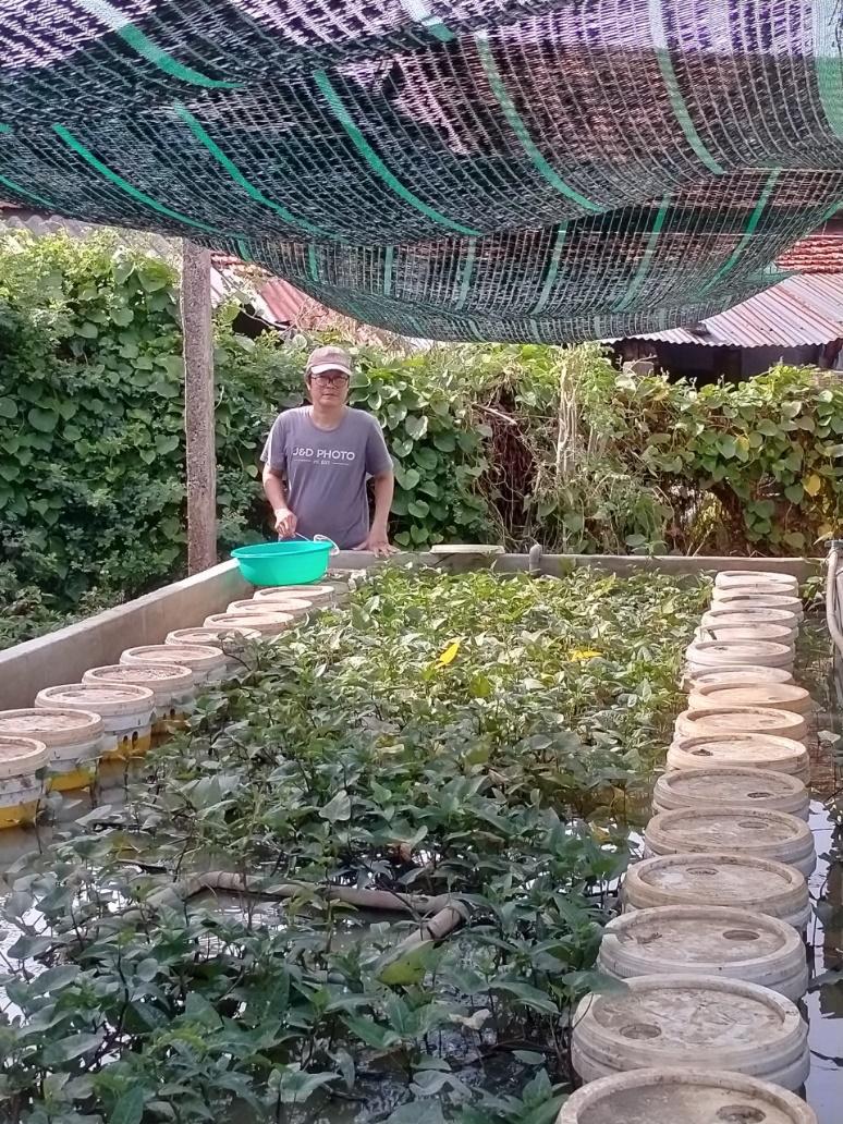 Ông Nguyễn Sĩ Tùng với bể nuôi lươn sinh sản tại xã Hòa Thắng, huyện Phú Hòa, tỉnh Phú Yên.