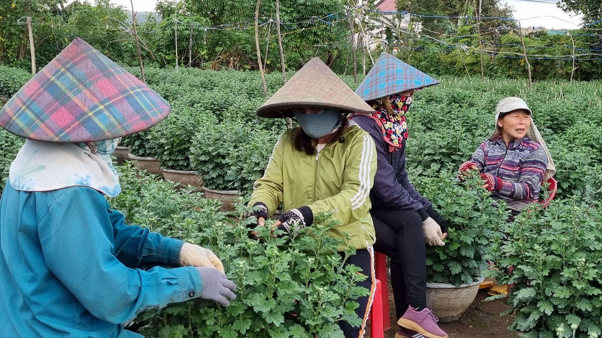 Gia đình ông Lê Đại Hành đang tất bật chăm sóc. Ảnh: Hà Phương