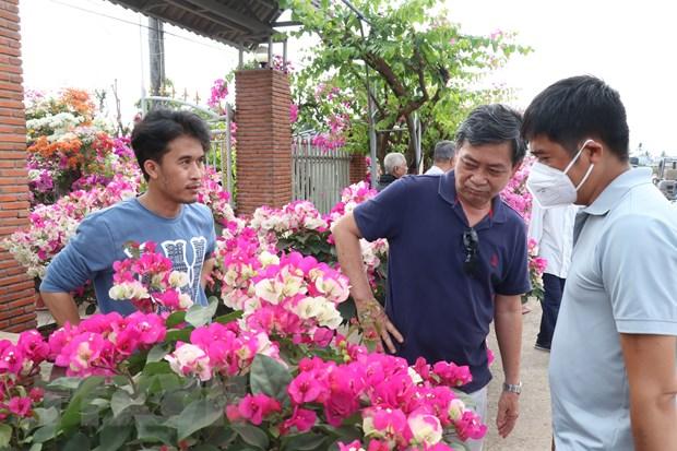 Du khách tham quan, mua sắm hoa cảnh 'Vương quốc hoa kiểng' Chợ Lách. Ảnh: Huỳnh Phúc Hậu/TTXVN