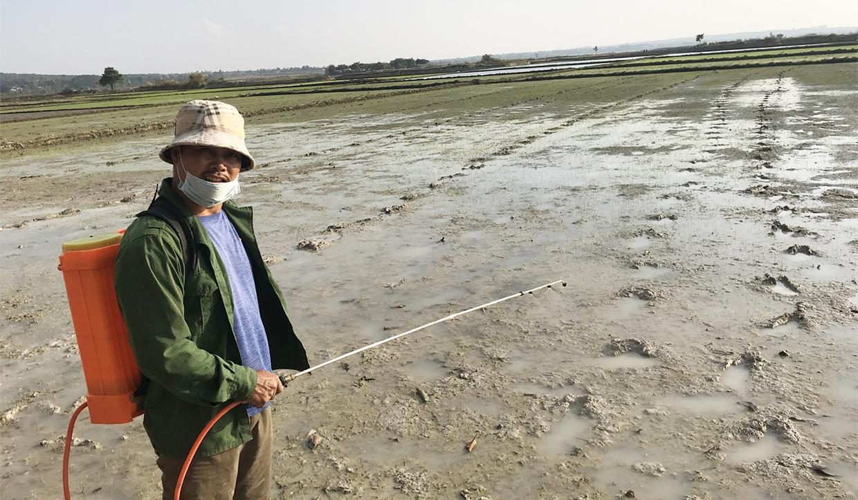 Bà con nông dân trong tỉnh đang tập trung chăm sóc cây trồng vụ Đông Xuân 2021-2022 đảm bảo sinh trưởng phát triển tốt, ngăn chặn sâu bệnh gây hại. Ảnh: Nguyễn Hồng