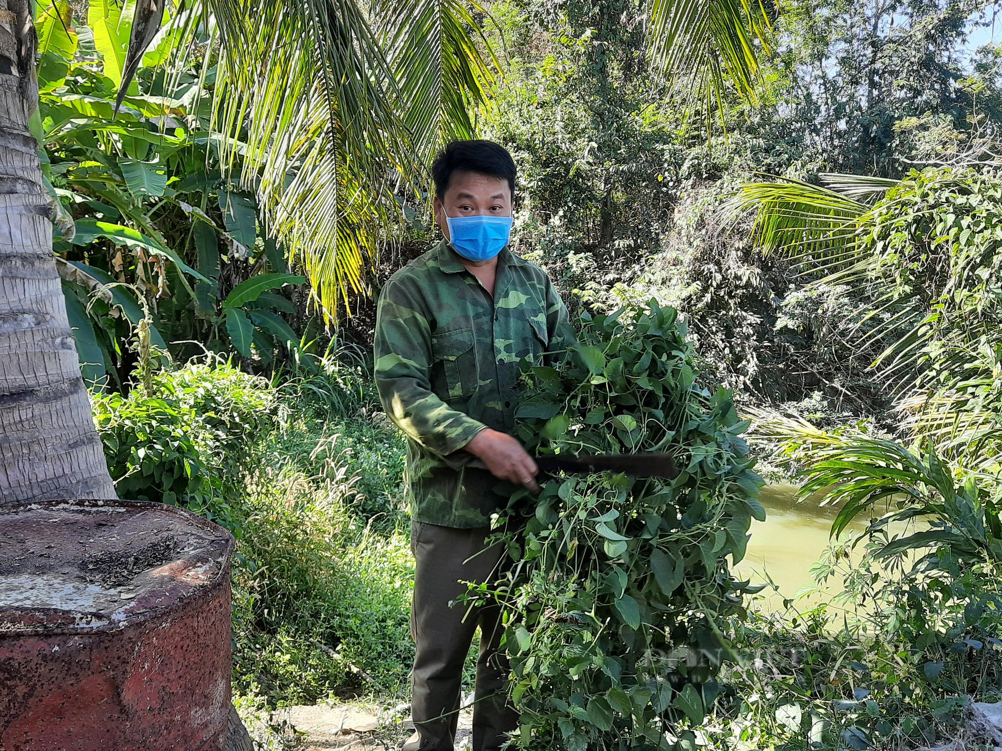 Nguồn thức ăn cho hươu rất đa dạng, được lấy ở trong tự nhiên. Ảnh: H.L