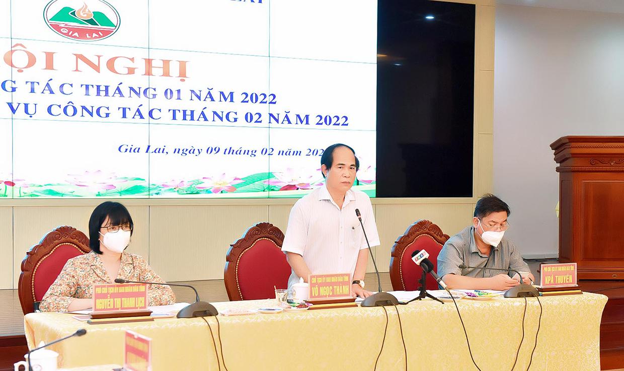 Chủ tịch UBND tỉnh Võ Ngọc Thành phát biểu tại hội nghị. Ảnh: Đức Thụy