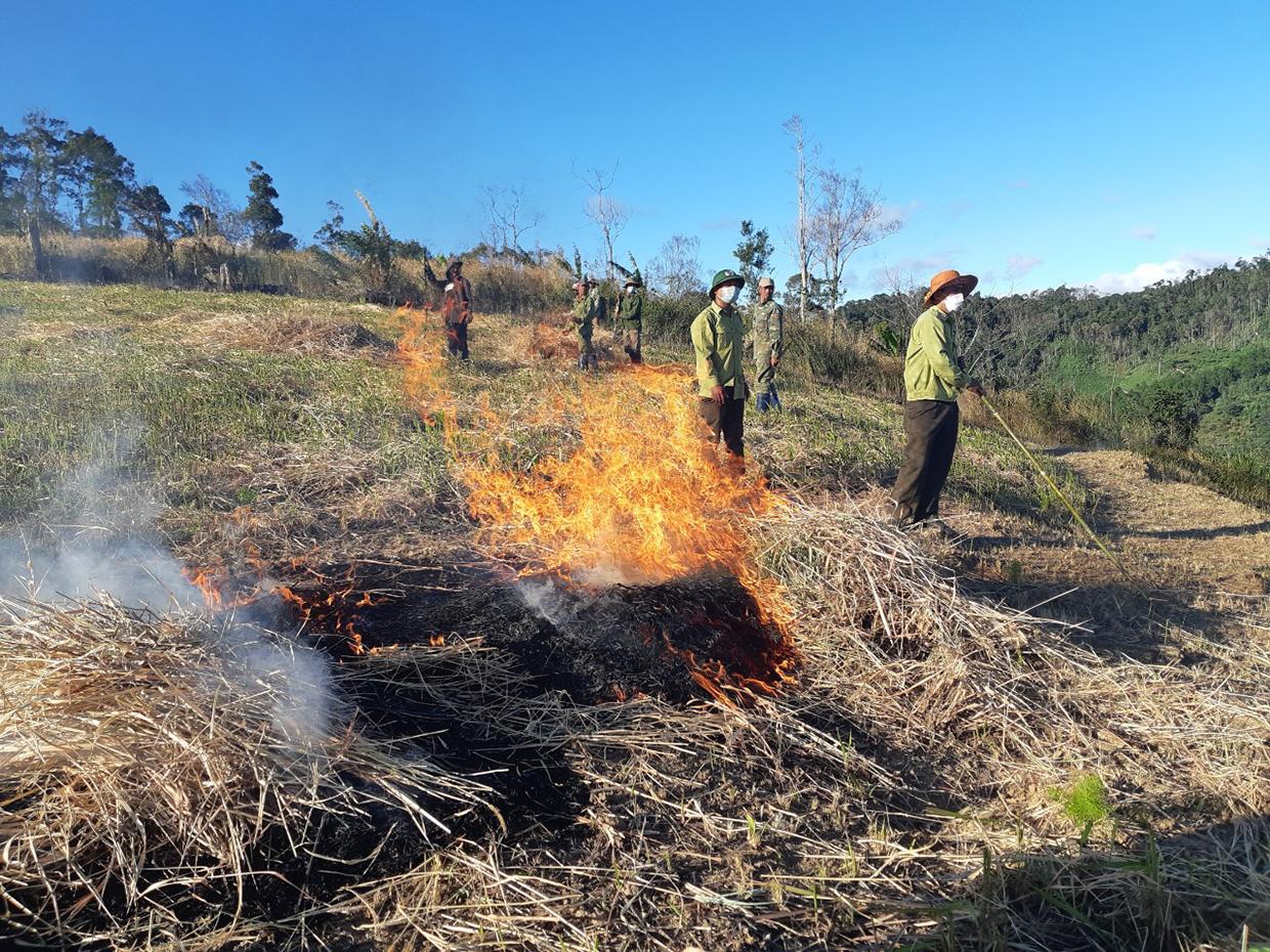 Nhân viên Ban Quản lý rừng phòng hộ Mang Yang phát đốt thực bì để phòng-chống cháy rừng. Ảnh: Nguyễn Diệp