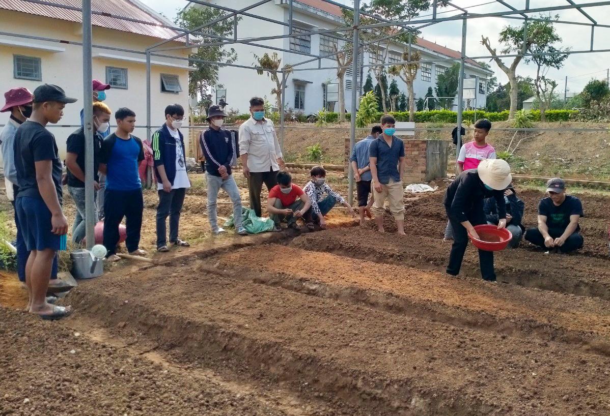 Lớp học hướng dẫn các học viên trồng rau an toàn. Ảnh: Minh Phương