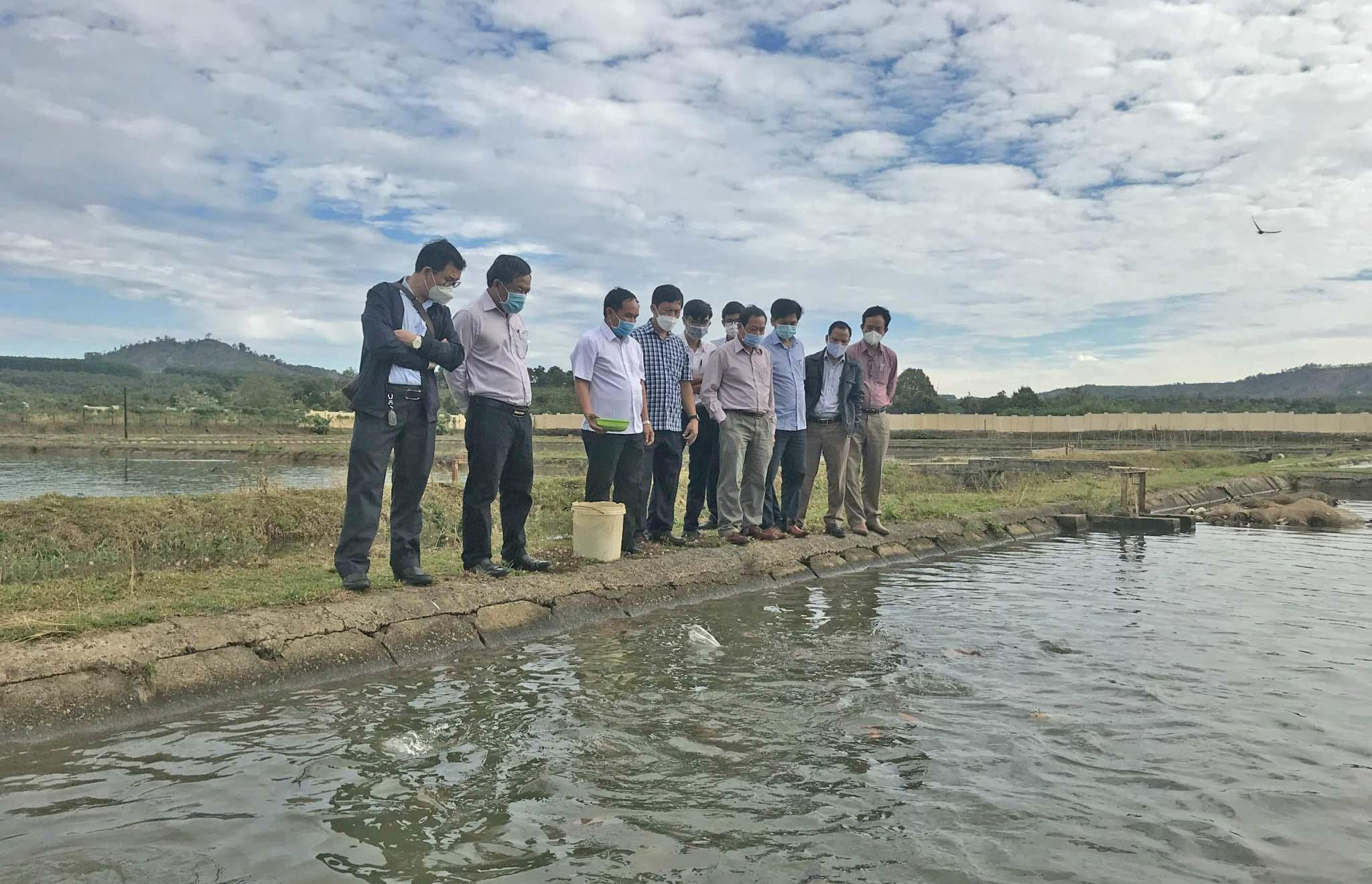 Đoàn công tác của Ban Kinh tế-Ngân sách HĐND tỉnh khảo sát thực tế tại các ao nuôi cá của Trung tâm. Ảnh: Nguyễn Diệp