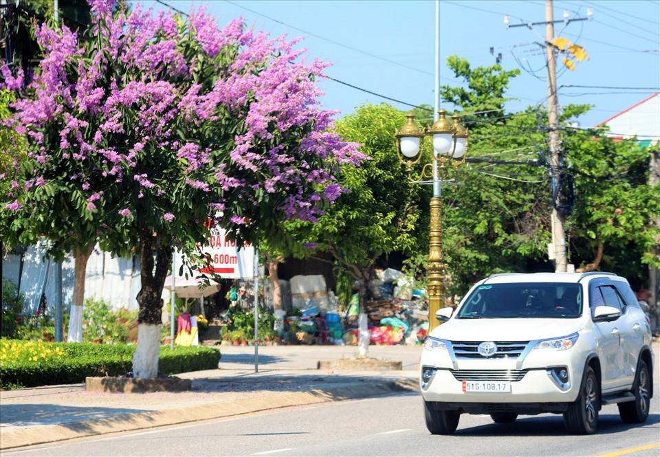Hoa bằng lăng đua nhau nở trên các tuyến đường phố thị trấn Mađaguôi. Ảnh: Phan Tuấn