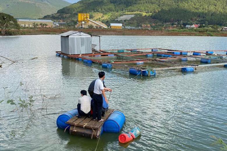 Việc nhân rộng và phát triển mô hình nuôi cá chạch lấu trên địa bàn huyện Đức Trọng sẽ góp phần phát triển đối tượng nuôi mới, đa dạng cơ cấu vật nuôi và nâng cao giá trị sản xuất nông nghiệp trên địa bàn huyện.