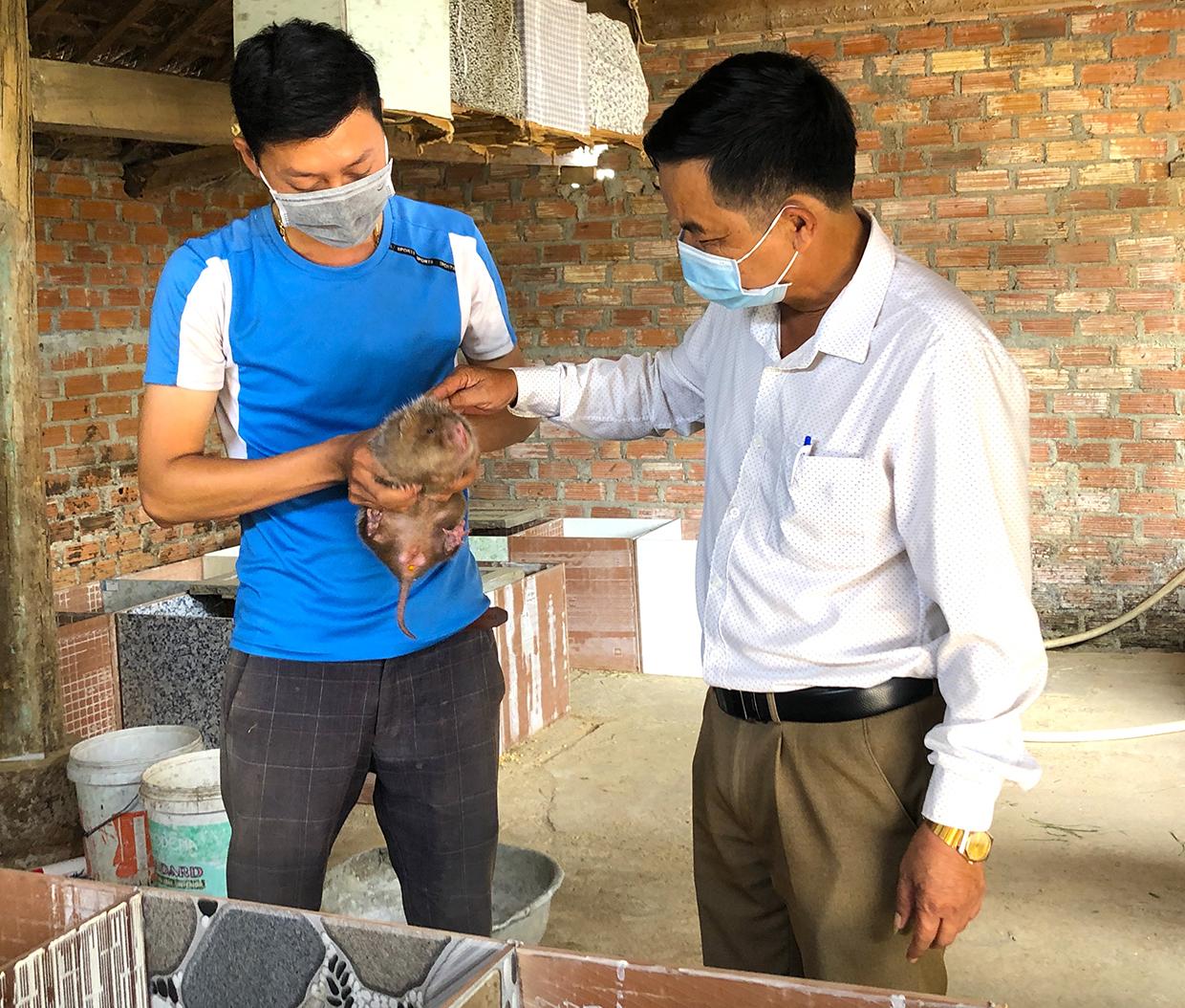 Mô hình nuôi dúi của anh Trần Ngọc Hiệp (bìa trái; xã Song An, thị xã An Khê) đem lại thu nhập 120-150 triệu đồng/năm. Ảnh: Ngọc Minh