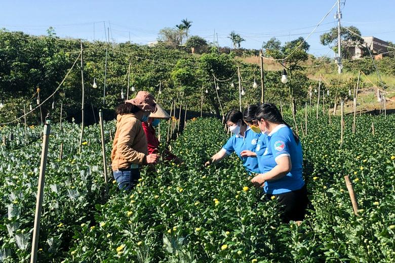 Việc tham gia Tổ hợp tác rau, hoa đã mang lại nguồn thu nhập ổn định cho các thành viên