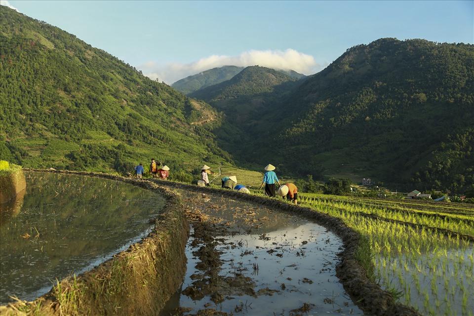 Đến đây vào dịp mùa nước đổ, chúng ta còn được gặp gỡ, được hòa mình vào không khí lao động hăng say của người dân vùng cao, được tìm hiểu về cách làm để tạo nên những thửa ruộng bậc thang. Tận mắt chứng kiến những người đàn ông dắt trâu đi cày hay sử dụng những chiếc máy cày mini xới đất tạo phù sa, hay những người phụ nữ trong trang phục dân tộc làm cỏ, đắp bờ, gánh mạ, cấy lúa…
