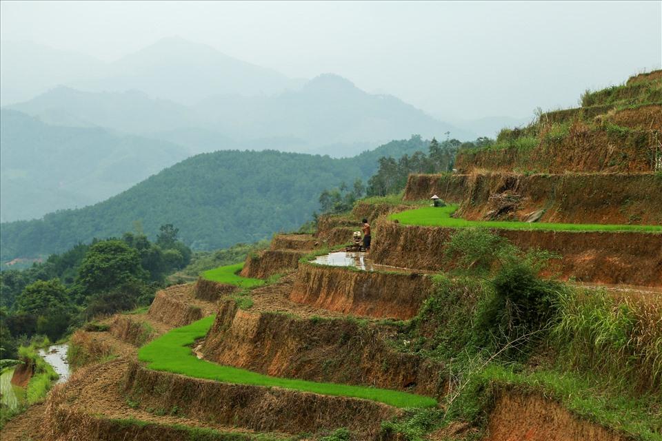 Một vài thửa ruộng phải đợi sau cơn mưa mới bắt đầu có nước để cày bừa
