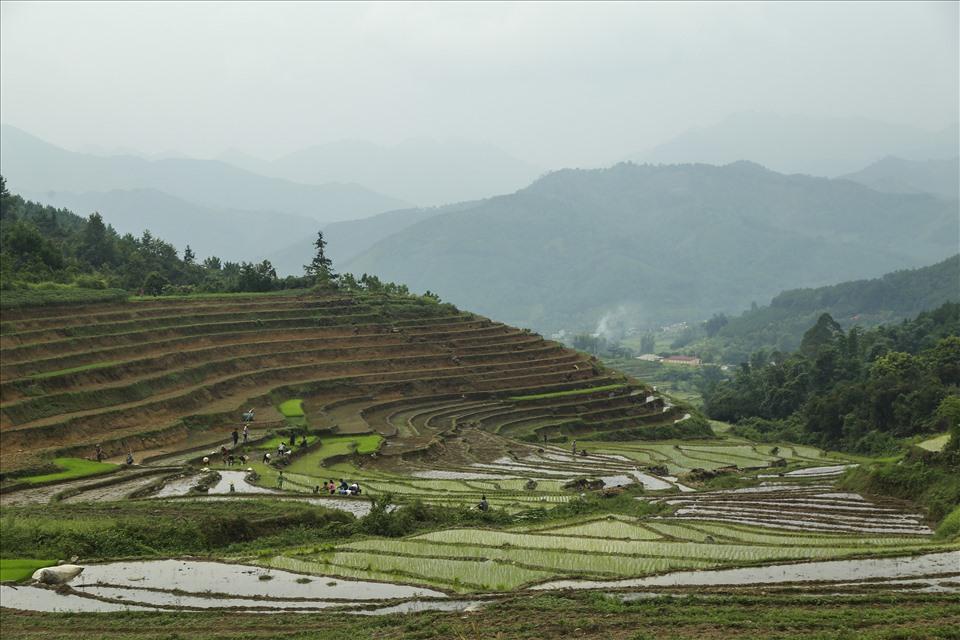 Một khu ruộng bậc thang ở bản Cao Thắng, xã Lục Hồn, huyện Bình Liêu được UBND tỉnh Quảng Ninh công nhận ruộng bậc thang là Di tích - danh thắng cấp tỉnh.