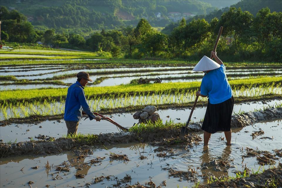 Những thửa ruộng bậc thang đã tạo nên một nét đẹp thu hút sự khám phá của khách du lịch trên khắp mọi miền cả nước, là một điểm đến lý tưởng của các nghệ sĩ nhiếp ảnh đến sáng tác.